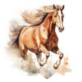 Beautiful horse watercolor painting, a brown stallion galloping across a meadow or desert on white background Royalty Free Stock Photo