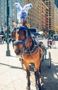 New York City Central Park, Manhattan. Horses and Carriages. Beautiful Sunny Day, Famous Touristic Destination, International Land Royalty Free Stock Photo