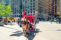 Beautiful Horses and Carriages in Central Park in New York City. New York City/USA Royalty Free Stock Photo