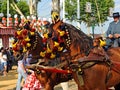 Beautiful horses at the Sevilla Fair, Spain Royalty Free Stock Photo