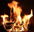 Beautiful hot burning campfire with orange flames and embers in a close up view Royalty Free Stock Photo