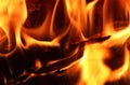 Beautiful hot burning campfire with orange flames and embers in a close up view Royalty Free Stock Photo