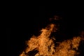 Beautiful hot burning tall flames from bonfire on dark winter background Royalty Free Stock Photo