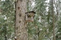 A house for birds made from tree bark Royalty Free Stock Photo