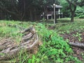 Beautiful house in the forest. Spouth Korea Royalty Free Stock Photo