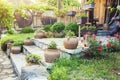 Beautiful house frontyard with flowers