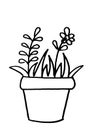 Beautiful houseplant illustration on white background. Black and white Potted plant or flowerpot. Hand Drawn illustration.