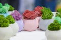 Beautiful houseplants in trendy geometric pots. Concrete pots with growing moss in them.