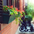 Beautiful houses in Boston, Massachusetts, USA Royalty Free Stock Photo