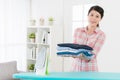 Beautiful housework woman ironing all clothing Royalty Free Stock Photo
