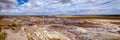 Panorama - Nature`s palette and artistry on display at Petrified Forest National Park, Arizona