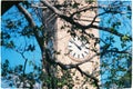 Clock tower in the city Royalty Free Stock Photo