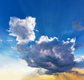 The beautiful huge cumulus cloud looks like an animal. The sun`s