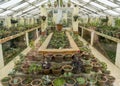 Beautiful huge glasshouse full of flowers in the pots