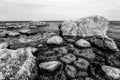 Beautiful huge stones in the sea with small stones under water overgrown with green algae in the Gulf of Finland. Black and white. Royalty Free Stock Photo