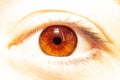 Beautiful human eye close-up. Flash in the eyes. The illuminated eye of a girl. Flash