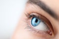 Beautiful human eye close-up. Young Woman Blue one eye macro shoot. Macro Closeup eye looking up, isolated on white Royalty Free Stock Photo