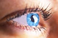 Beautiful human eye close-up. Young woman blue one eye macro shoot. Macro shot closeup eye looking up. Human eye macro detail. Eye