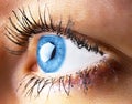 Beautiful human eye close-up. Young woman blue one eye macro shoot. Macro shot closeup eye looking up. Human eye macro detail. Eye Royalty Free Stock Photo