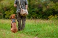 Beautiful Hungarian Vizsla puppy and its owner during obedience training outdoors. Sit and stay command.