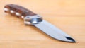 Beautiful hunting knife isolated on the wooden table