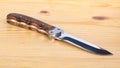 Beautiful hunting knife isolated on the wooden table