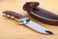 Beautiful hunting knife and sheath in the wooden table