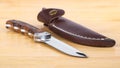 Beautiful hunting knife and sheath in the wooden table