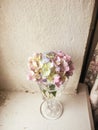 Beautiful Hydrangea colorful bouquet in wine glass with water, r Royalty Free Stock Photo
