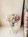 Beautiful Hydrangea colorful bouquet in wine glass with water, r Royalty Free Stock Photo