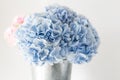 Beautiful hydrangea flowers in a vase on a table . Bouquet of light blue. Decoration of home. Wallpaper and background. Royalty Free Stock Photo