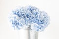 Beautiful hydrangea flowers in a vase on a table . Bouquet of light blue. Decoration of home. Wallpaper and background. Royalty Free Stock Photo