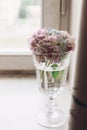 Beautiful hydrangea flowers in vintage glass with water on rustic white wood of old windowsill. Countryside still life. Happy Royalty Free Stock Photo