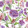 Beautiful iberis flowers with green leaves on white background. Seamless floral pattern. Watercolor painting.