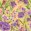 Beautiful iberis flowers with green leaves on yellow background. Seamless floral pattern. Watercolor painting.