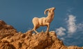 Ibex rock statue on the rocks in the Sahara Desert