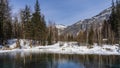 A beautiful ice-free lake in a winter forest. Royalty Free Stock Photo