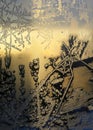 Beautiful ice pattern and sunlight on winter window glass Royalty Free Stock Photo
