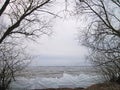 Curonian spit , ice and trees in winter , Lithuania Royalty Free Stock Photo