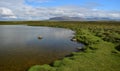 Beautiful Icelandic landscape. A lake on peninsula Skagi