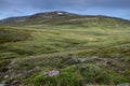 Beautiful Icelandic landscape on peninsula Skagi