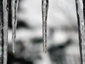 Beautiful icicle with ice patterns on the inside