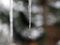 Beautiful icicle with ice patterns on the inside