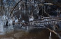 Beautiful icicles formed by a flowing river in winter day