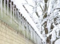 Beautiful icicles on the old asbestos roof in frosty winter