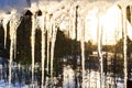 Beautiful icicles shine in sun against blue sky. spring landscape with ice icicles hanging from roof of house. Spring drops icicle Royalty Free Stock Photo