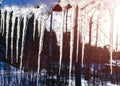 Beautiful icicles shine in sun against blue sky. spring landscape with ice icicles hanging from roof of house. Spring drops icicle Royalty Free Stock Photo