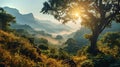 Beautiful iconic landscape of nature park at sunset with forest and mountains