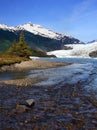 A Salmon Stream In Alaska