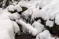 Beautiful icy waterfall in the forest. Vosges mountains. Royalty Free Stock Photo